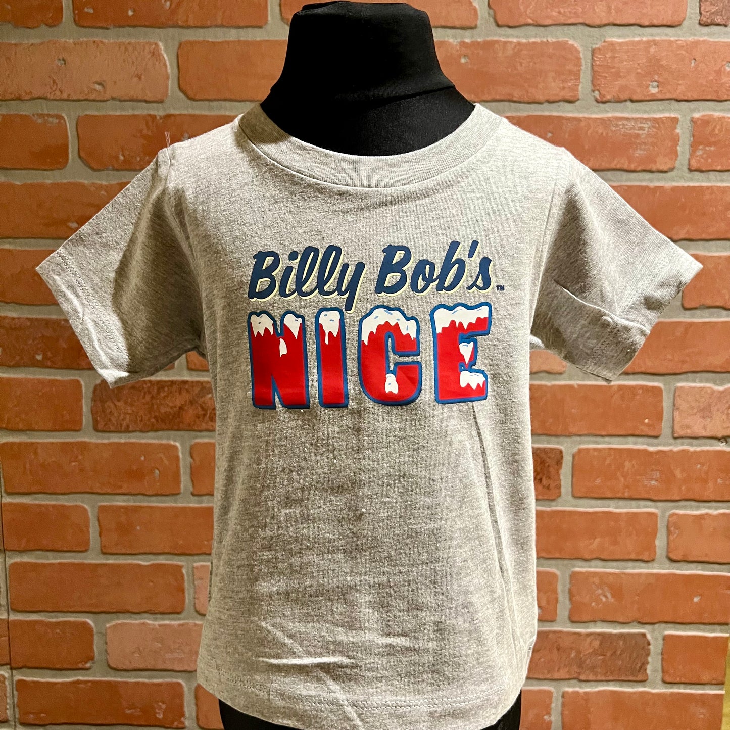 Baby Jersey Short Sleeved Grey Tee "Nice"